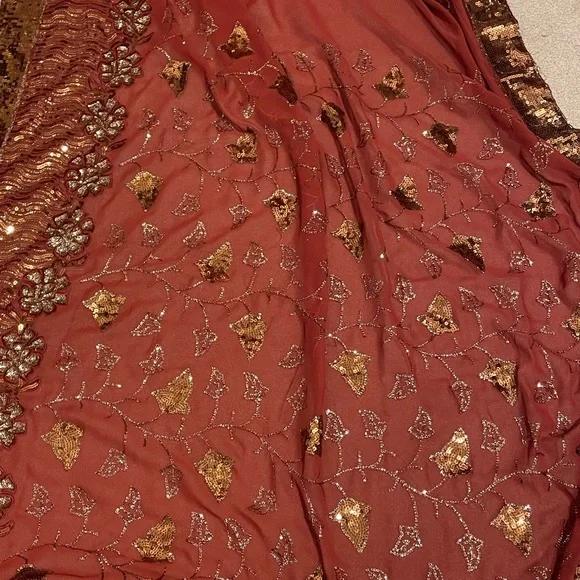 Burned Orange/light brown Sequin Saree - Picture 3 of 3